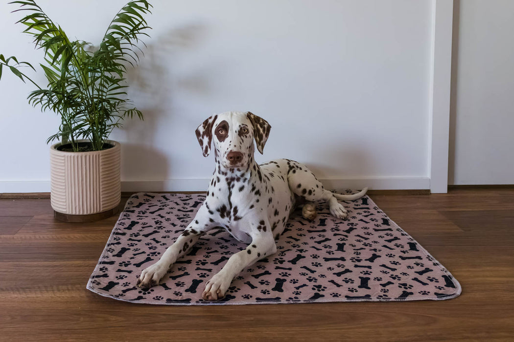Dry Paws | Shop Washable Puppy Pads and Reusable Pet Pads for Dogs