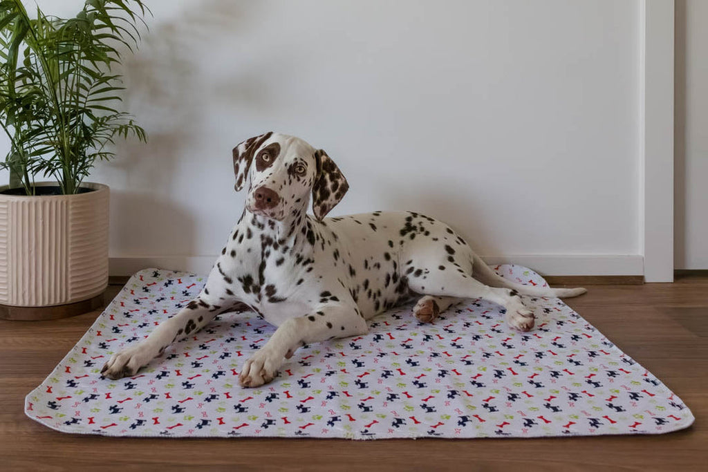 Eco-Friendly Living: The Benefits of Using Reusable Puppy Pads from Dry Paws