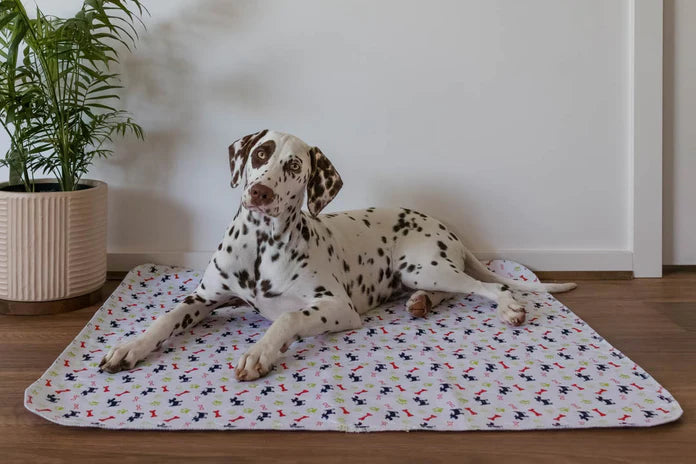 Washable Puppy Pads - Best Way to Clean Them