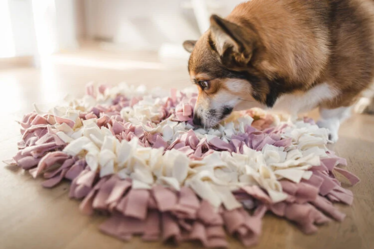 Dog Snuffle Mat - Ultimate Slow Feeder for Cats & Dogs