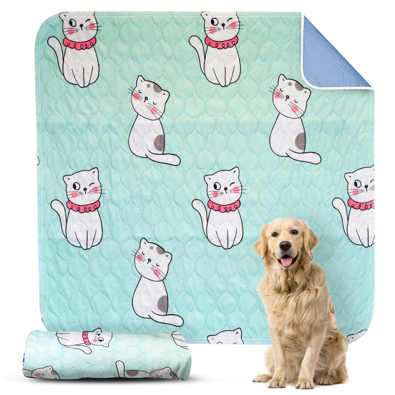 Cats Puppy Pad - Dry Paws