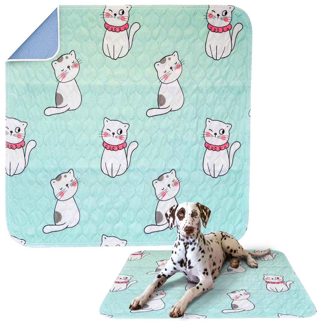 Cats Puppy Pad - Dry Paws