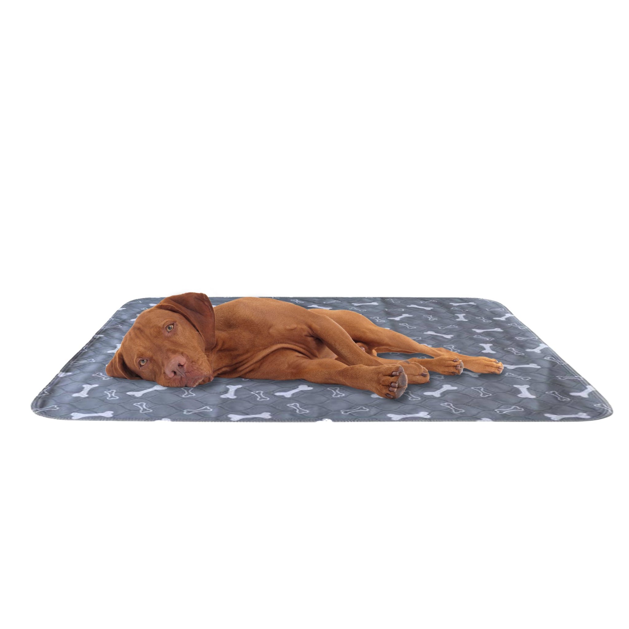 Shop Reusable Washable Large Puppy Pads Buy Online